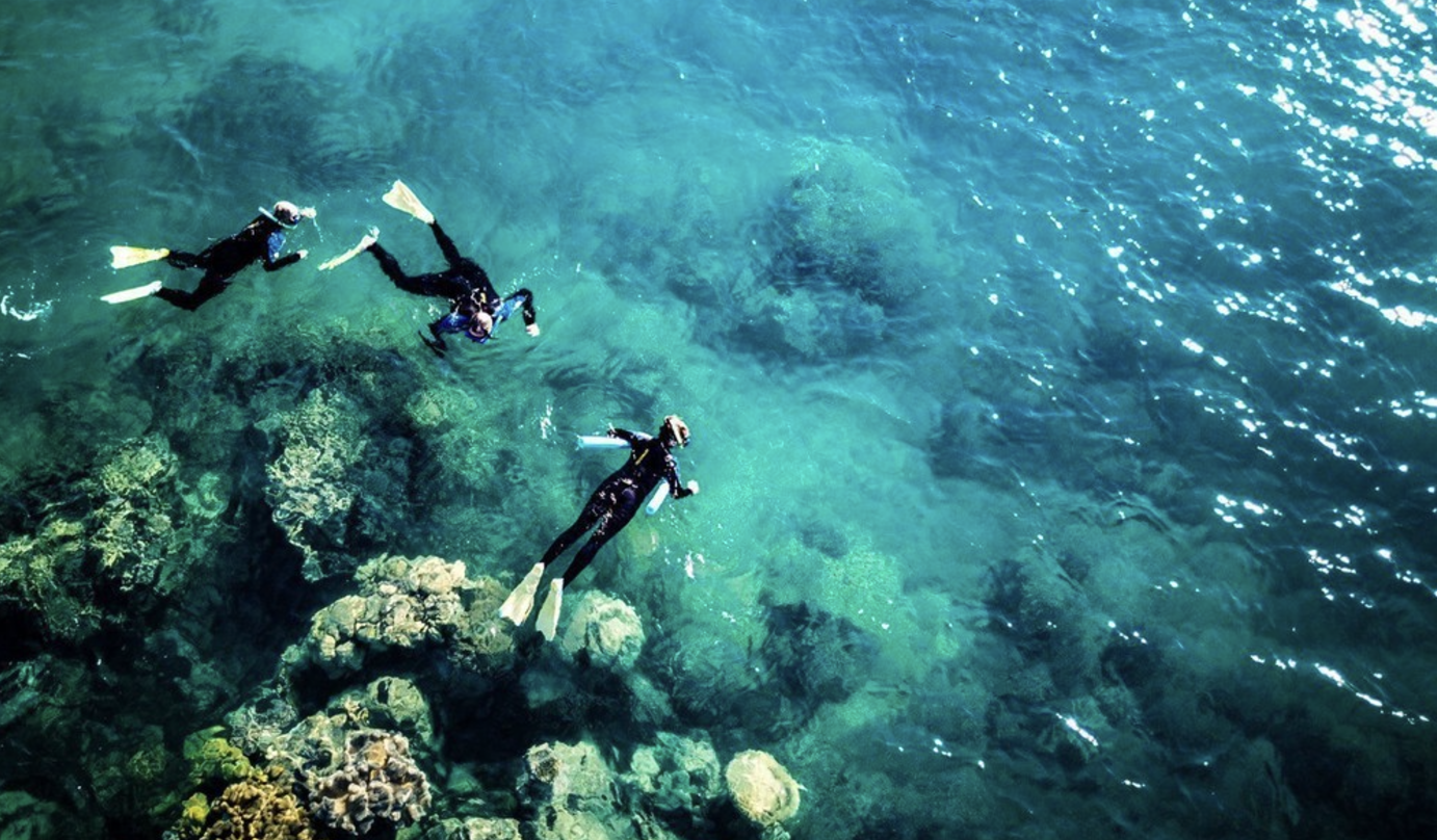 Snorkel in Whitsundays Island